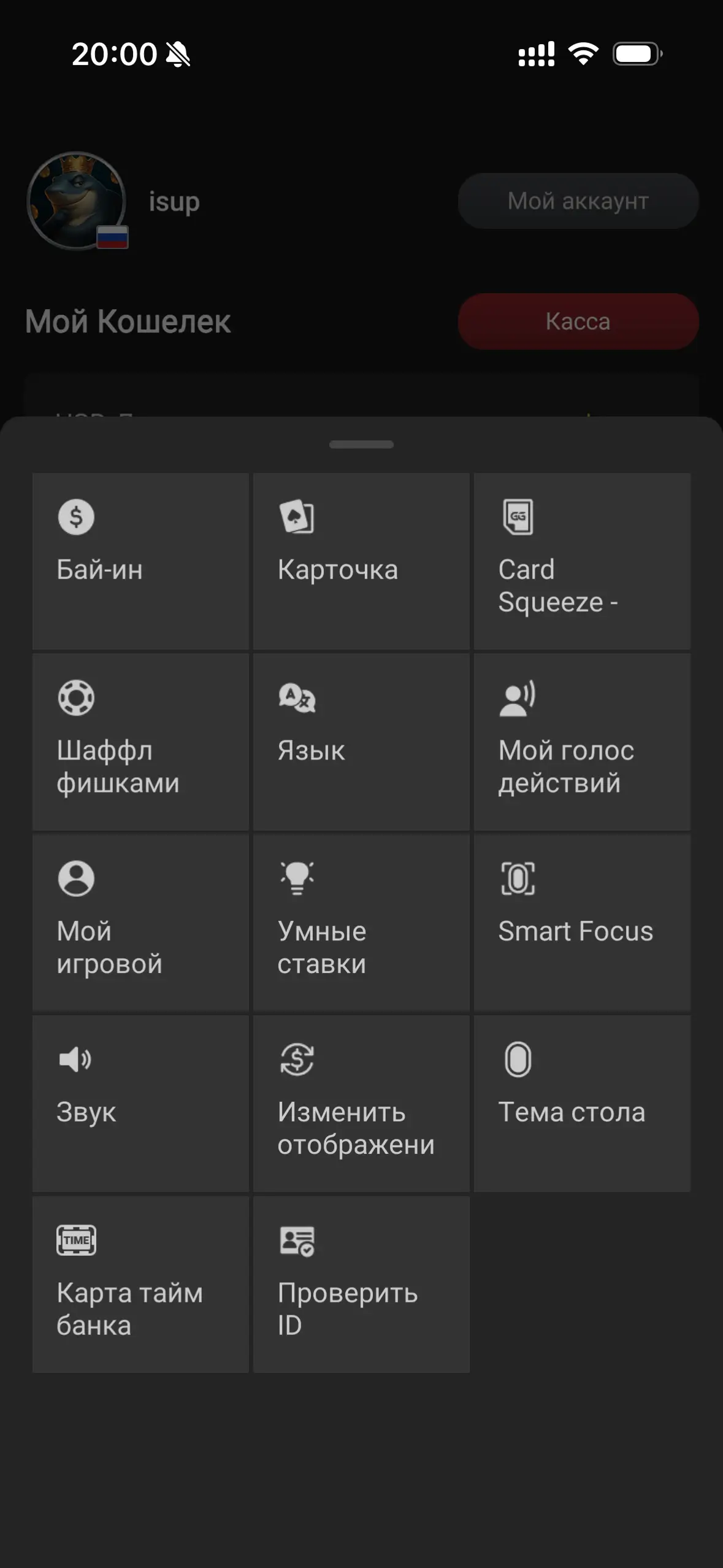 Раздел «Параметры» в мобильном приложении PokerOK